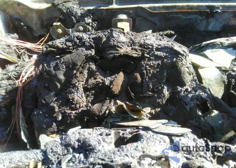 2020 Infiniti Qx60 Luxe z USA, uszkodzony, nr VIN 5N1DL0MN4LC535376